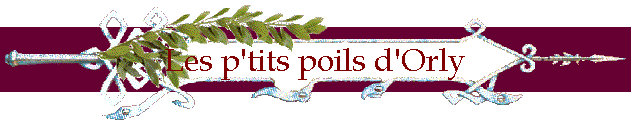 Les p'tits poils d'Orly